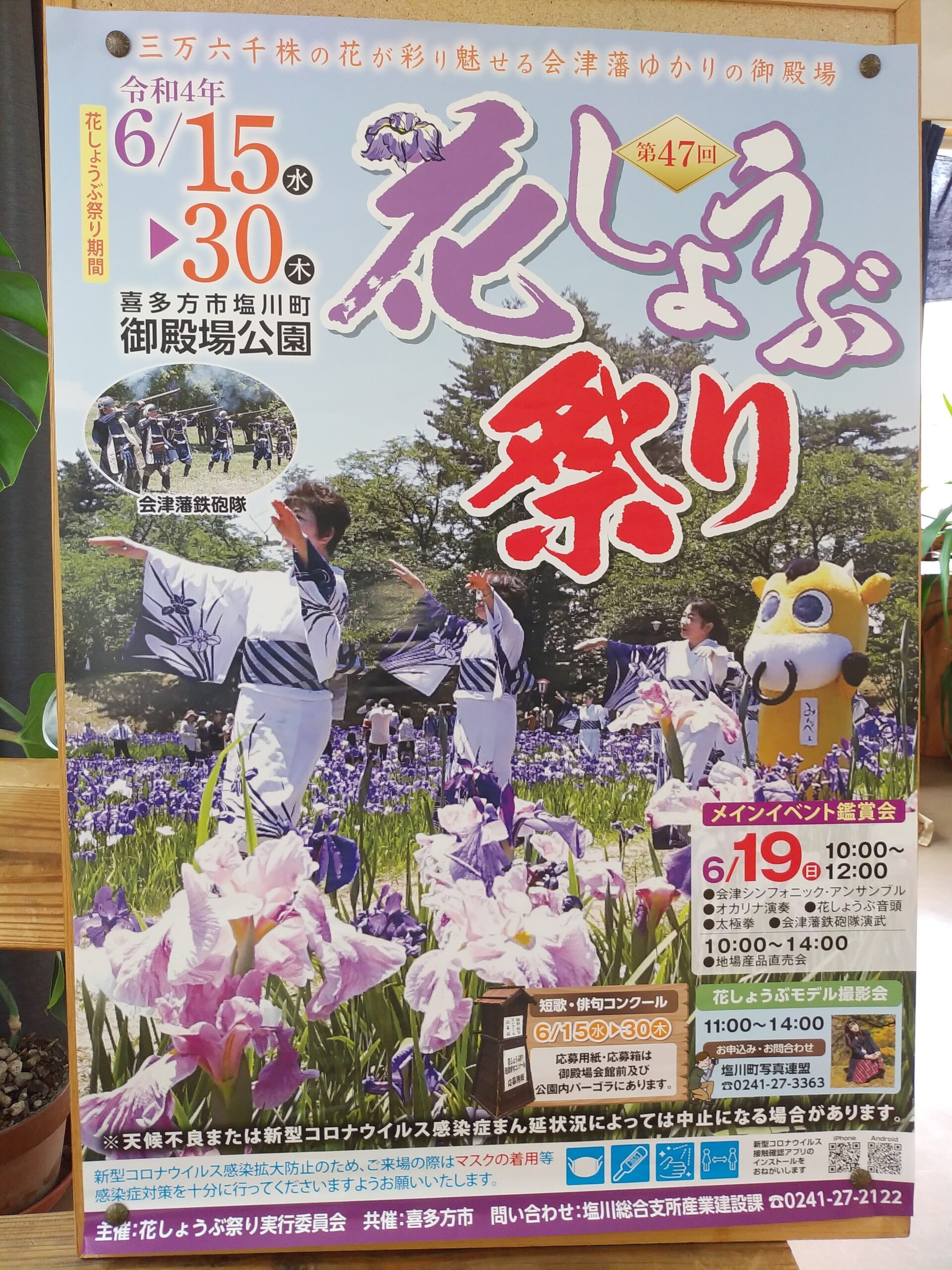 【喜多方市塩川町御殿場公園】第47回花しょうぶ祭り（6/15日～30日）が開催されています 金鯰物語＜塩川なまずの里の会＞